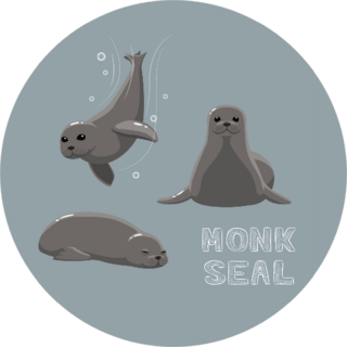 Monk Seal Cartoon Illustration In Grey Sticker