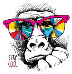 Monkey In Rainbow Color Glasses Sticker