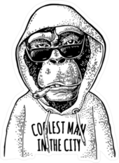 Monkey In The Hoodie Sticker