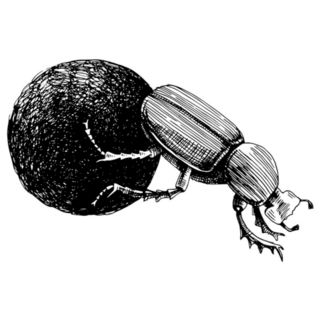 Monochrome African Dung Beetle Rolling Ball Sticker