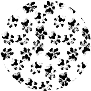 Monochrome Background Prints Of Real Dogs Paws Sticker