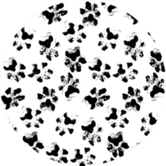 Monochrome Background Prints Of Real Dogs Paws Sticker