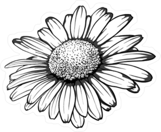 Monochrome Daisy Flower Sticker