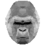 Monochrome Gorilla Sticker