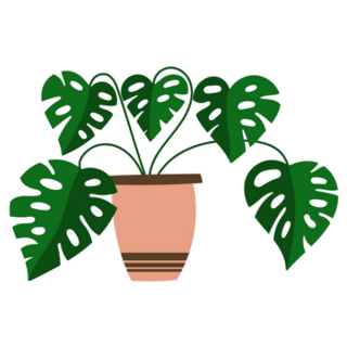 Monstera Indoor Plant Sticker