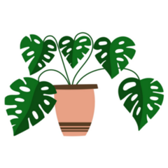 Monstera Indoor Plant Sticker