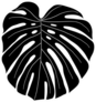 Monstera Leaf Black And White Sticker