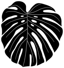 Monstera Leaf Black And White Sticker