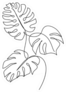 Monstera Leaf Line Art Sticker