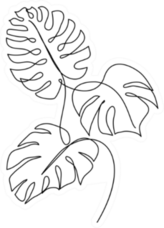 Monstera Leaf Line Art Sticker