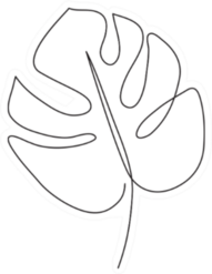 Monstera Leaf Simple Line Art Contour Drawing Sticker