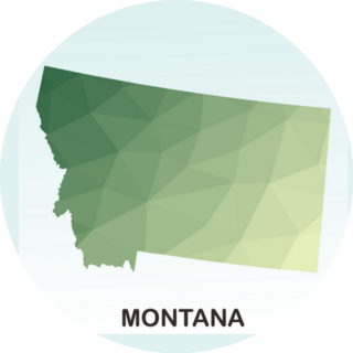 Montana Polygonal Geometric Green Sticker