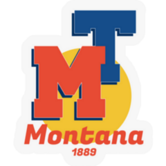 Montana  Retro American Logo. 90s Sticker