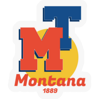 Montana  Retro American Logo. 90s Sticker