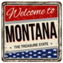 Montana The Treasure State USA Sticker