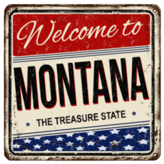 Montana The Treasure State USA Sticker