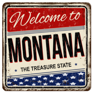 Montana The Treasure State USA Sticker