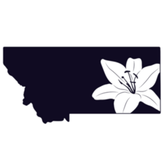 Montana With Lily Flower Sticker