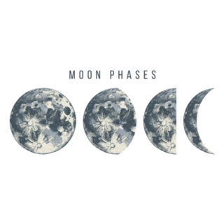 Moon Phases Illustration Sticker