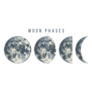 Moon Phases Illustration Sticker