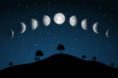 Moon Phases Night Landscape Sticker
