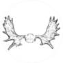 Moose Antlers Sticker