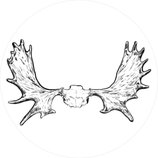 Moose Antlers Sticker