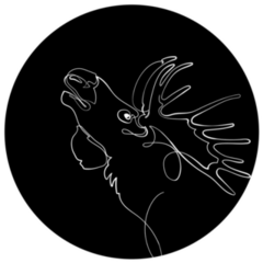 Moose Head In The Night Sticker