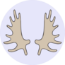 Moose Horn Antler Sticker