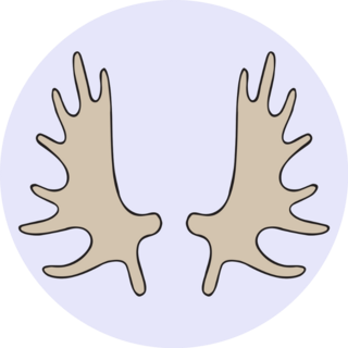 Moose Horn Antler Sticker
