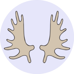Moose Horn Antler Sticker