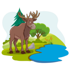 Moose In A Forest Sticker