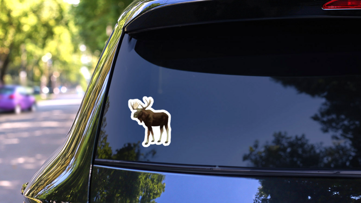 Moose Smiling Alone Sticker on a Rear Car Window (New) example