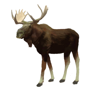 Moose Smiling Alone Sticker