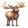 Moose Standing Gracefully Sticker