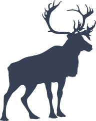 Moose Standing Sticker