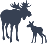 Moose With Baby Sticker