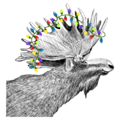Moose With Christmas Lights Silly Sticker
