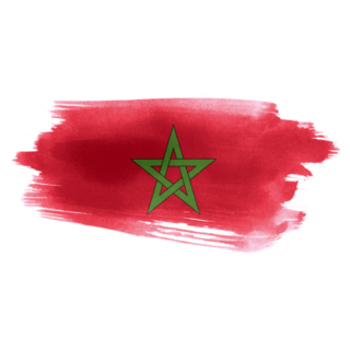 Morocco Flag Grunge Painted Sticker