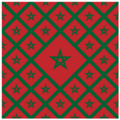 Morocco Flag Pattern Abstract Sticker