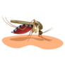Mosquito Illustration Biting Skin Sticker
