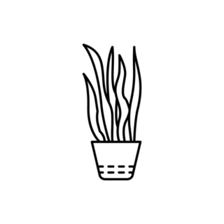 Mother In Law Tongue Snake Plant Transfer Sticker