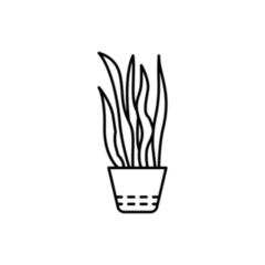 Mother In Law Tongue Snake Plant Transfer Sticker