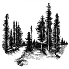 Mountain Forest Pine Trees Sticker
