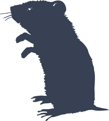 Mouse Standing Sticker