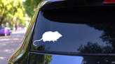Mouse Sticker on a Rear Car Window (New) example