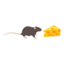 Mouse With Piece Cheese Sticker