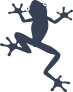 Moving Frog Sticker