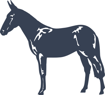 Mule Donkey Sticker