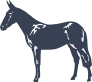 Mule Donkey Sticker